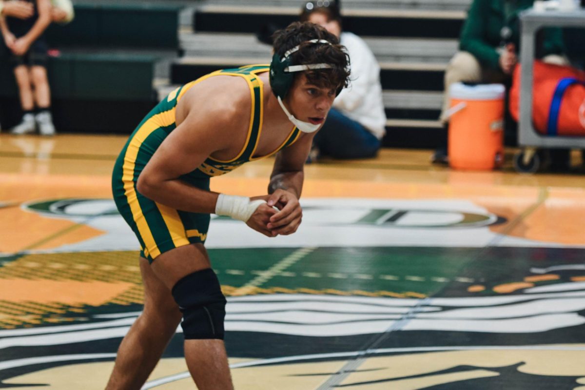 Senior Carson Ferry