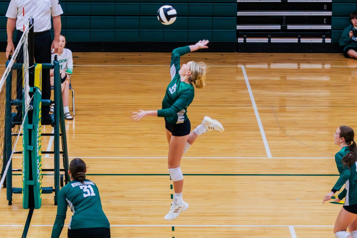 Presley Fuller: The Spike That Powers the Volleyball Court