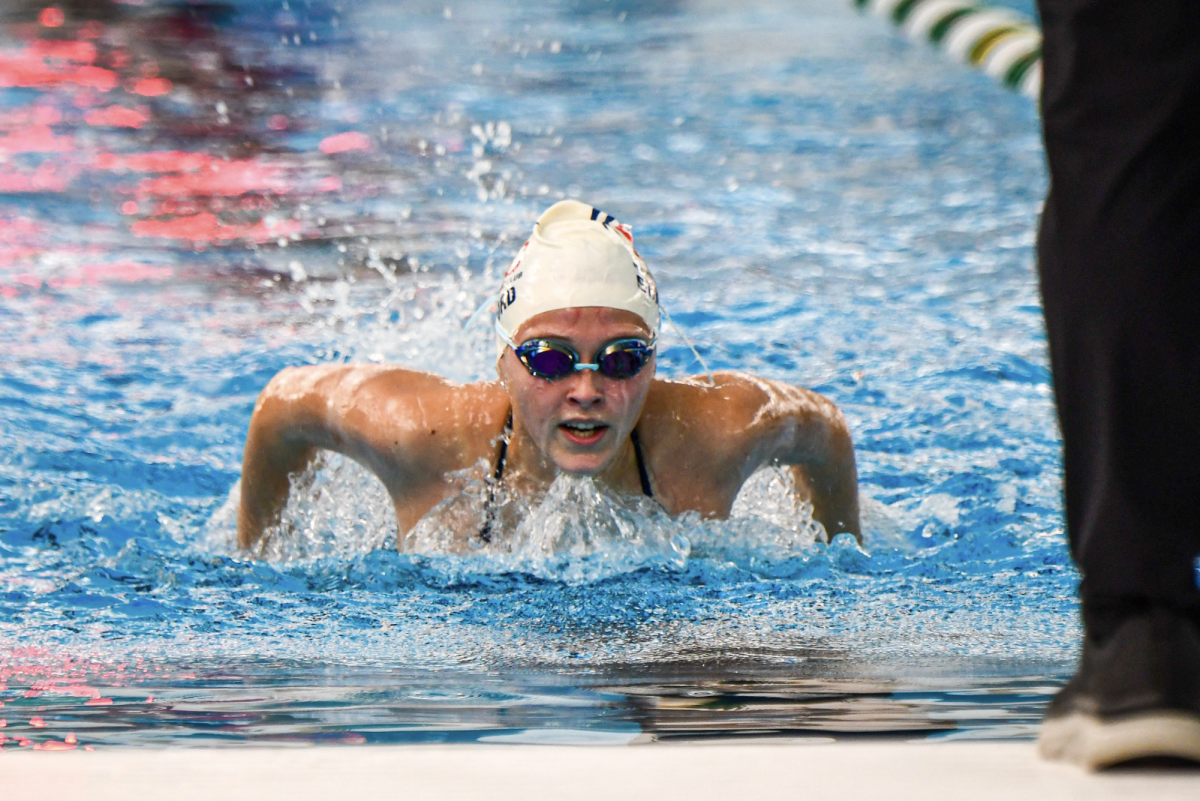 Freshman Lexi Guilford raises out of the water during butterfly stroke at girls New Albany relay