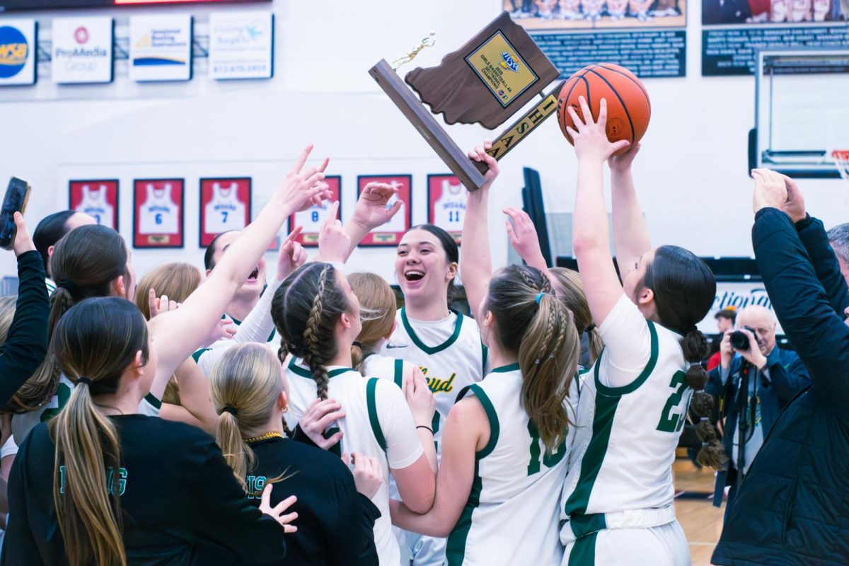 Girls Basketball Sectional Championship-12