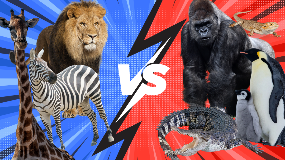OPINION: Underrated zoo animals beat the headliners